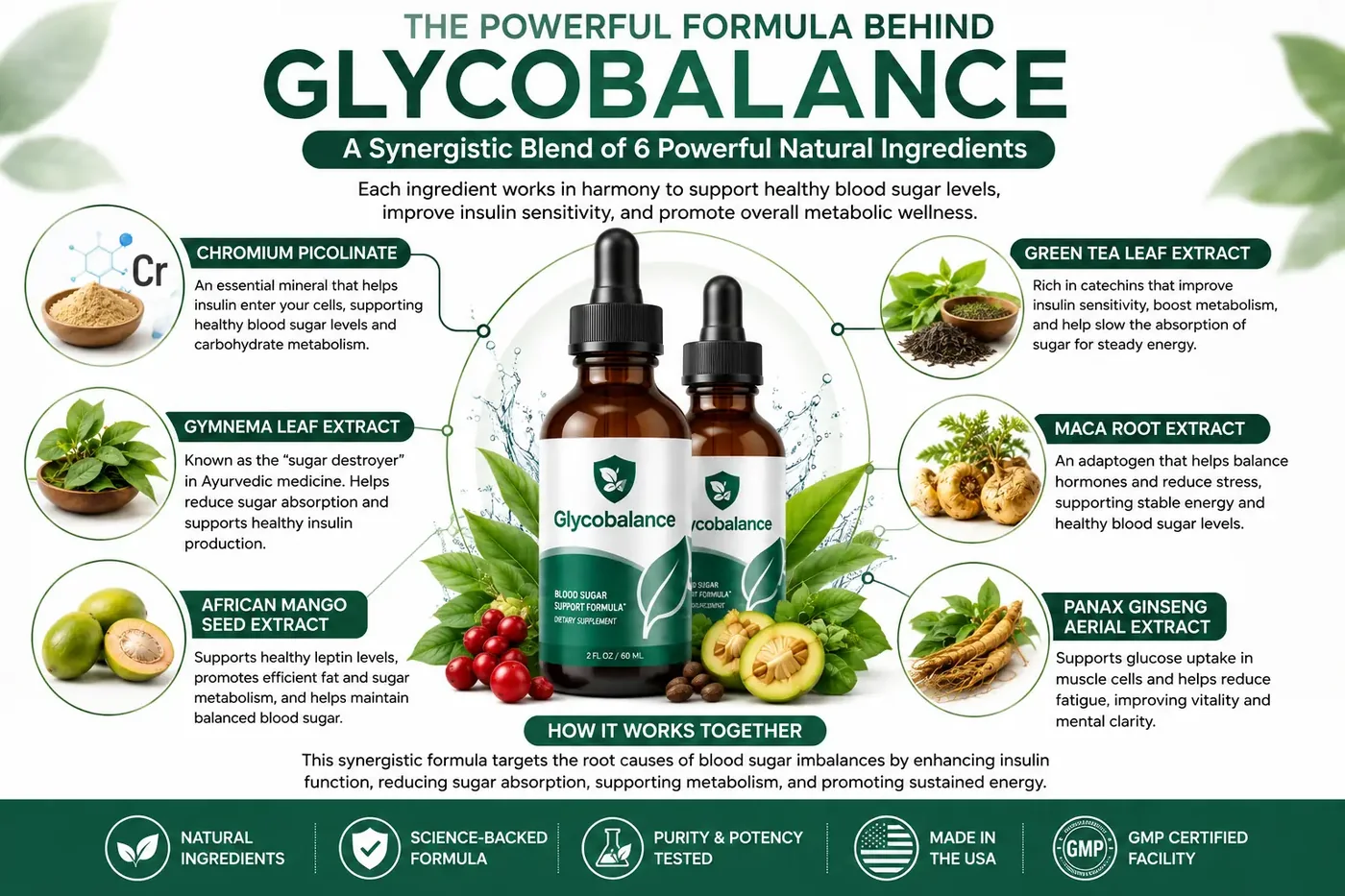 Glycobalance supplement formula chart 6 natural ingredients aur unke benefits ke saath.